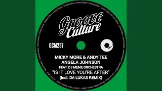 Is It Love You're After (12Inch Intro Mix)