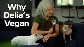 Delia Bonfilio-Cobb's Vegan Story, Insight, & Perspective