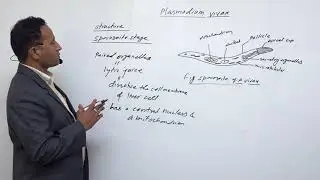 Class 11 Zoology biodiversity part 2