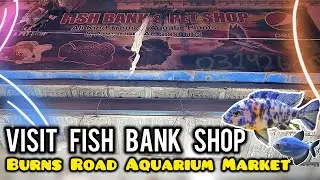 Visit FISH BANK Shop BURNS ROAD Aquarium Market | Latest Fish & Aquarium Rates - Imran's World