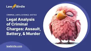 Analyse juridique des accusations criminelles&nbsp;: voies de fait, coups et blessures et meurtre&nbsp;&ndash; Ex...