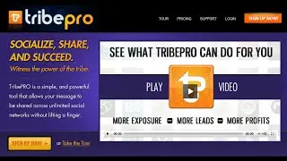 TribePro The Future Of SMO