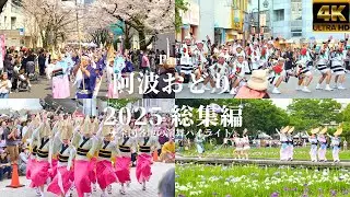 全国阿波おどり 2025 総集編★傑作選 - 熱き鼓動の記憶 -