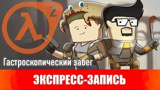 Half Life 2.  Гастроскопический забег. [Экспресс-запись]