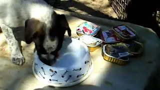 CLIP1020.AVI