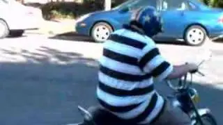 FAT GUY ON A LITTLE BIKE