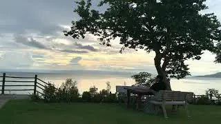 Paano nga ako nawalan ng ADS dito sa YOUTUBE? Last sweldo 230$ binigay naman ni YT
