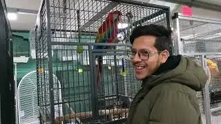 Vlog 002 Birds Shop in UK 2026