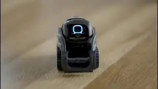 Robot belly