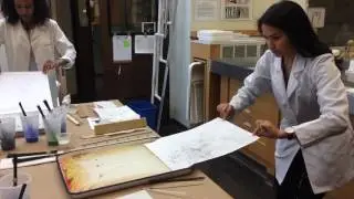 Introduction to Practical Conservation Interns Paper Marbling