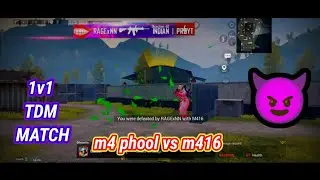 M4 phool vs simple m416
