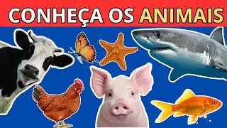Conhe&ccedil;a os animais e seus sons | Animais para crian&ccedil;as | V&iacute;deo educativo