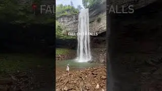5 Must See Tennessee Hikes!