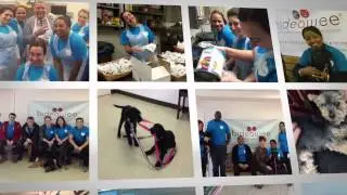 Corporate Social Responsibility at ZenithOptimedia - Q2 2015