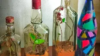 ടെറേറിയം ഇനി നിങ്ങൾക്കും ഉണ്ടാക്കാം#tarrarium #plants  #bottle art#nature #forest#happy #mind 