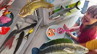 Ловля рыбы в холодильнике😱 Сом, Пробка, Акула, Немо, Кои, Менфиш, Лобстер, Пуффало, Тилапия и Коки