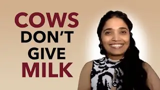 Cows Don't Give Milk