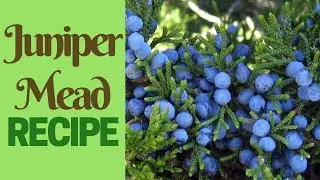 Juniper mead - Easy home made mead recipe