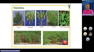 Guest lecture- Plant Breeding and Genetics- Breeding Medicinal Plants  Present and Future