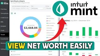How to View Net Worth in Mint 2025?
