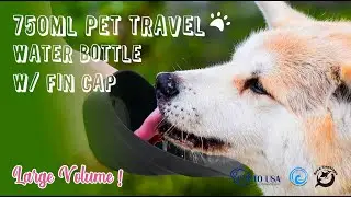 Personalize a Stainless Steel Water Bottle for Pet - Photo USA