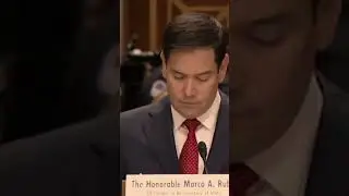 Marco Rubio's confirmation hearing interrupted by protester