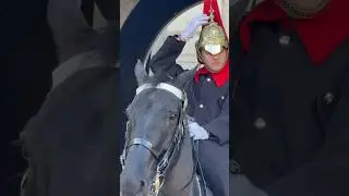 Horse Guard parade London #shorts