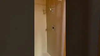 Epic bathroom design fail #funny #youtube #shorts