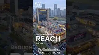 Bazaria - Reach group- SCO Plots