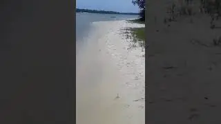 Douglas Underhill live 2019 08 19   Navy Point Shoreline disaster