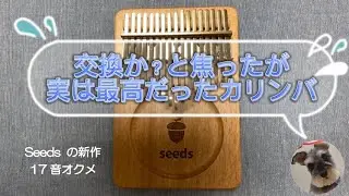 交換か？と焦ったが、実は最高だったカリンバ〜Seeds新作オクメ〜開封&プチレビュー