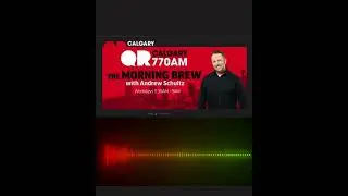 Cari Hansen guest appearance on Calgary Global News segment 