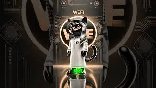 What is Wefi Why should we own it