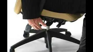 Ergonomic Office Chair - Seat Height Adjustment