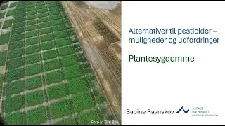 Oplæg om plantesygdomme - Webinar om pesticiders rolle i dansk landbrug...