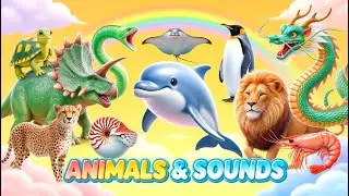 Meet the Dinosaurs | Herbivores and Carnivores 🦖 Cuora flavomarginata, Styracosaurus, Moray eel