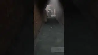 Evil nun 1 crocodile escape