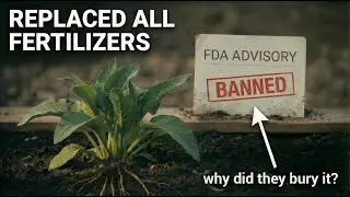 The Plant That REPLACED All Fertilizers: Why Did FDA Ban It?