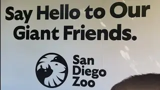 San Diego Zoo's Table Service Dining | Albert's Restaurant