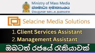 New Government Job Vacancies 2024 I  Selacine,Minstry of Mass Media Jobs