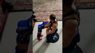 Dean Ambrose VS Kurt Angle #shorts #wwe #stopmotion