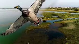 Wadhvana Wetland