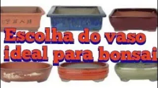 Aprenda a escolher o vaso ideal para cada tipo de bonsai.
