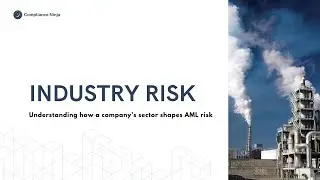 What is an Industry risk in Customer Due Diligence?