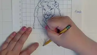 Drawing Using the Grid Method Wild Beast Project Copy