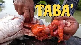 Simpleng Almusal Isdang nag Oorange ang Sabaw Napakataba at Malaman! 'Palawan Philippines'