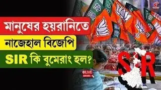SIR | BJP | মানুষের হয়রানিতে নাজেহাল বিজেপি, SIR কি বুমেরাং হল?
