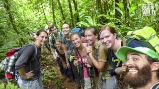 CORCOVADO INTENSE JUNGLE TREK - August 2016