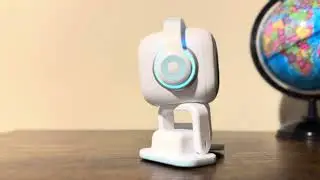 EMO Robot 