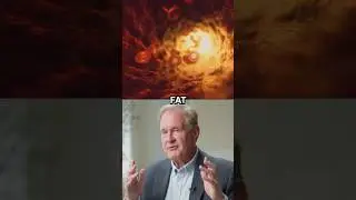 What Does Dietary Fat Do To Your Blood Sugar Levels? | Dr. Robert Lustig